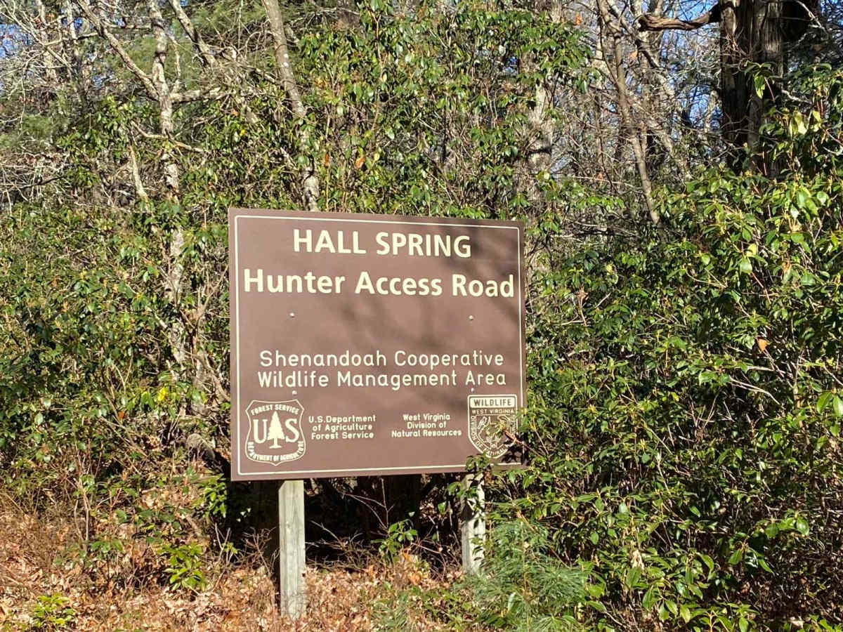 FSR #85-2 Hall Spring Road trail photo