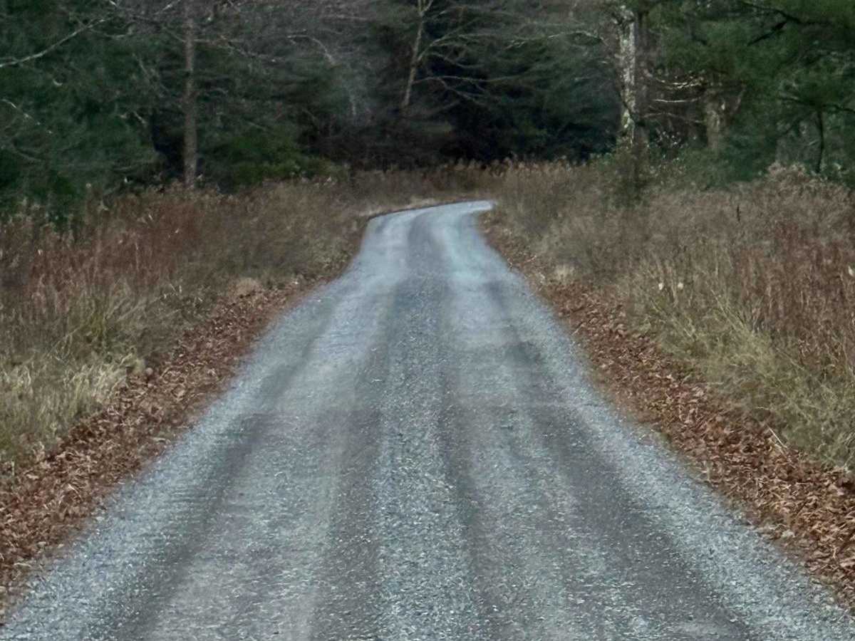 Middle Branch Road photo 4