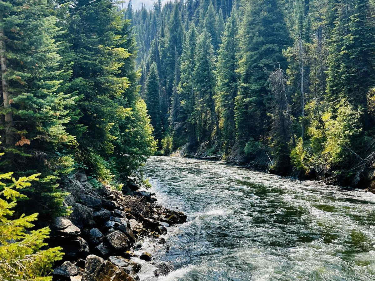 Bulldog Loop trail photo