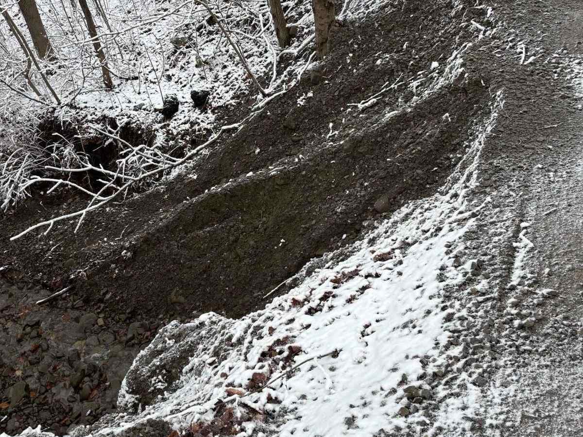 Reeves Road photo 6