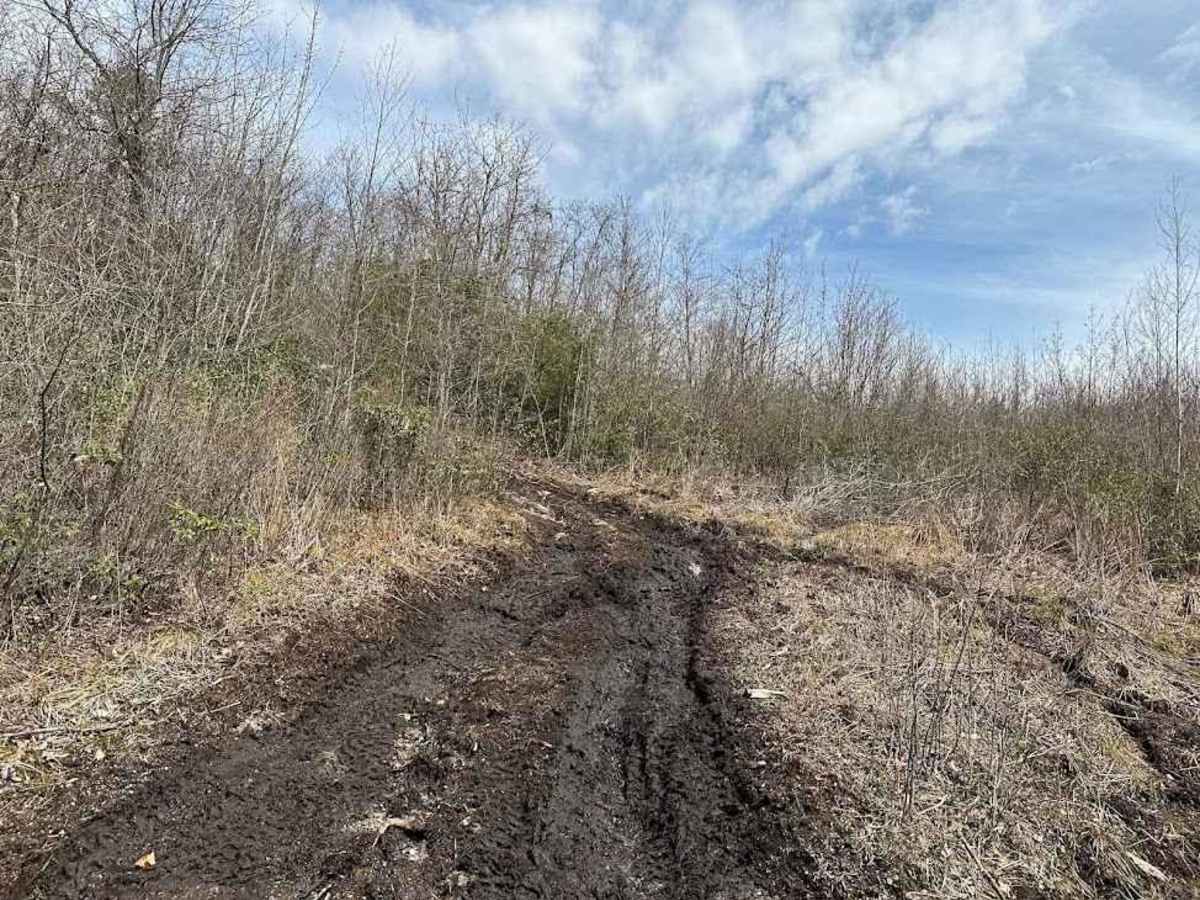 St. Keirns 102 trail photo
