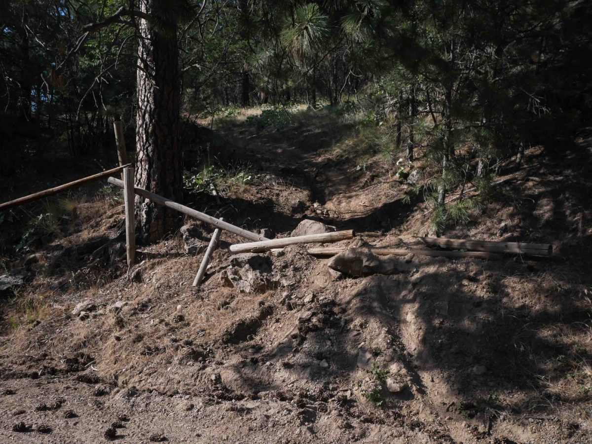 Fence Run trail photo
