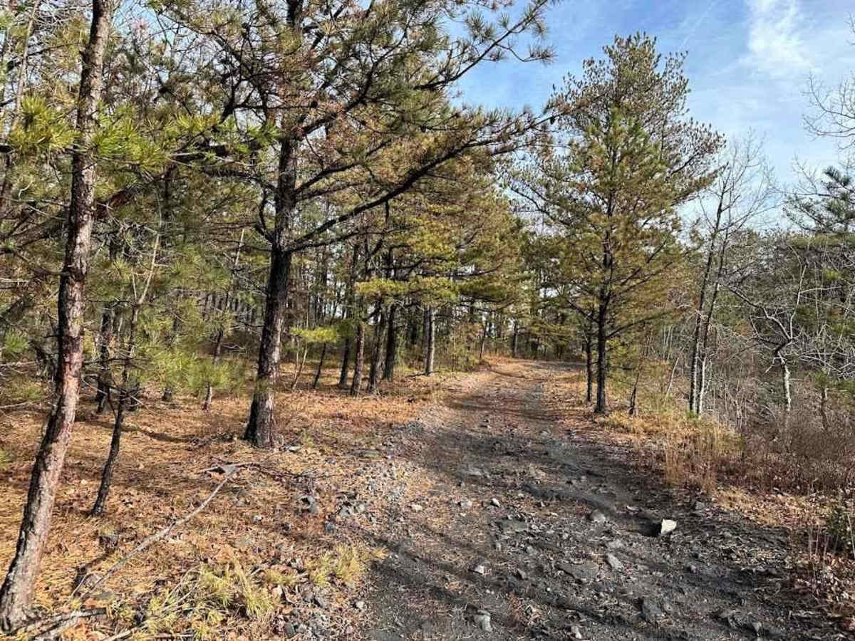 Darkwater 73 trail photo