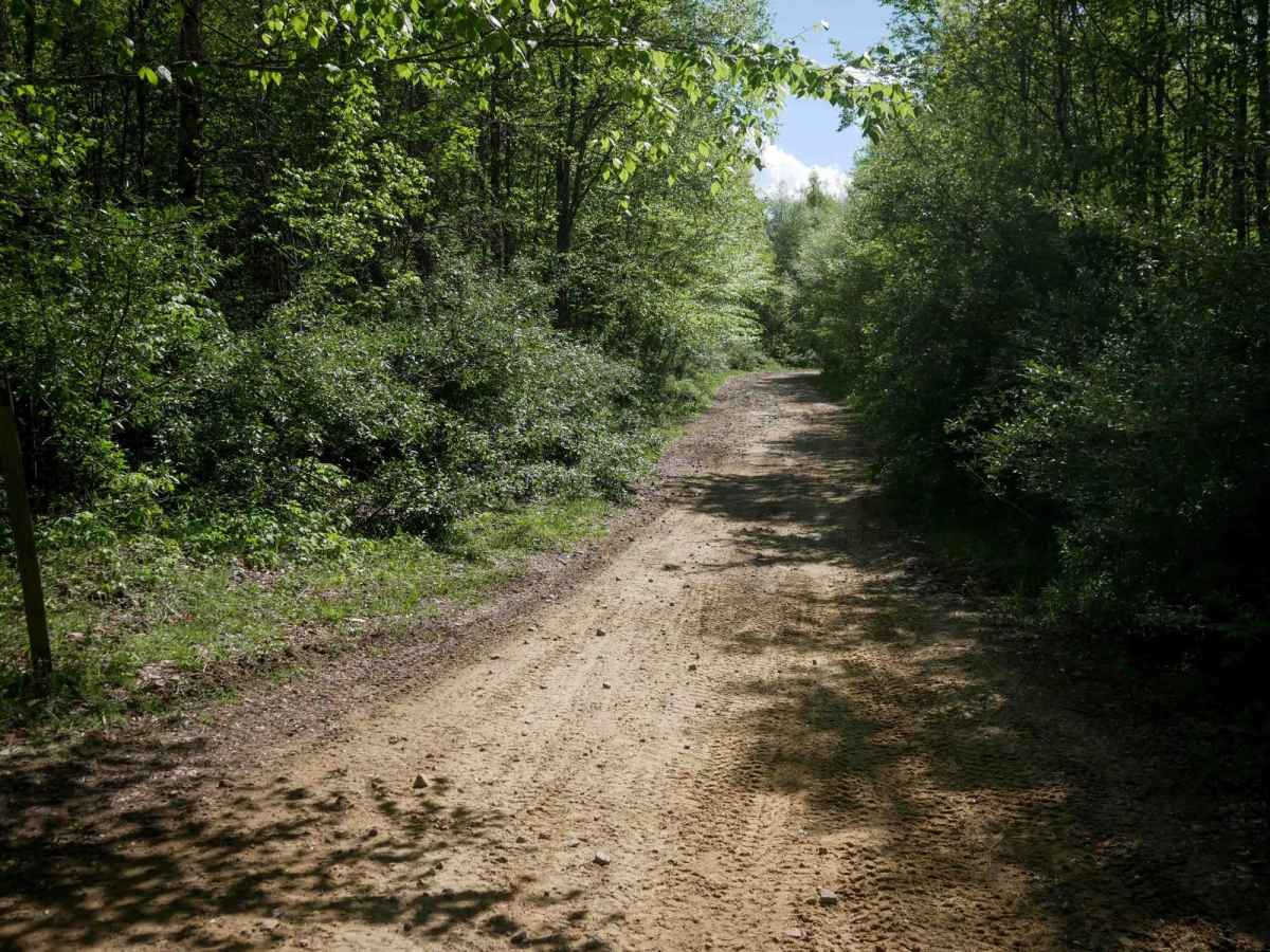 PC 14 photo 2