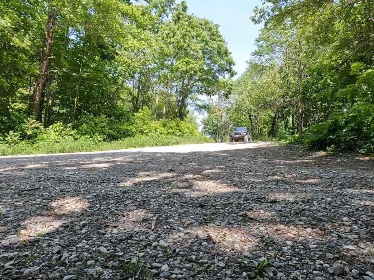 Shaws Fork photo 4