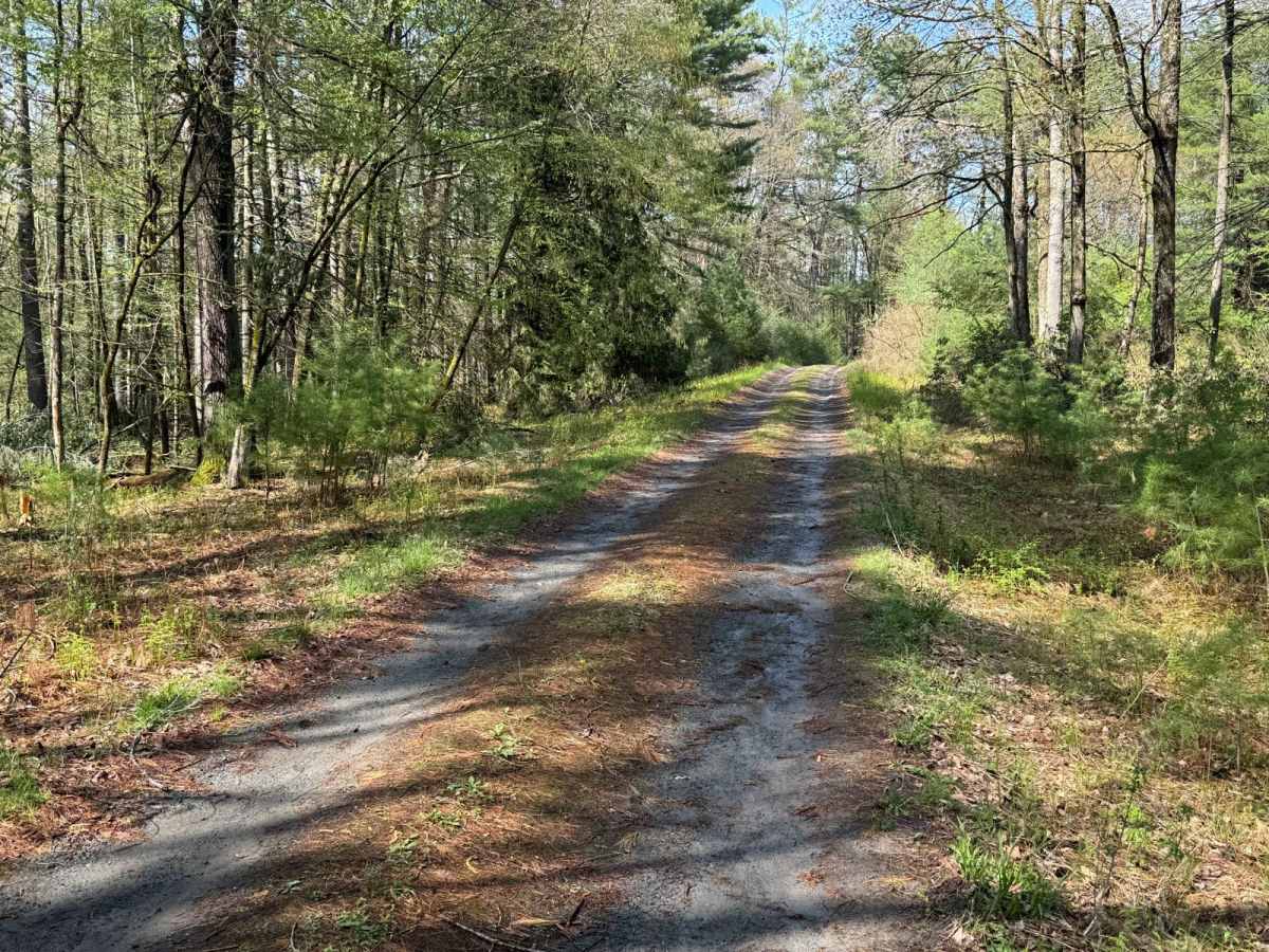 Hickock Brook Trail photo 4