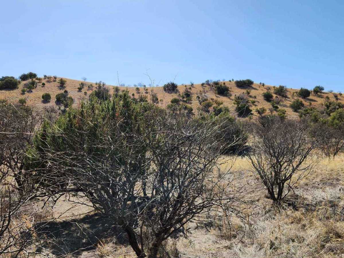 Oak Tree Canyon photo 4