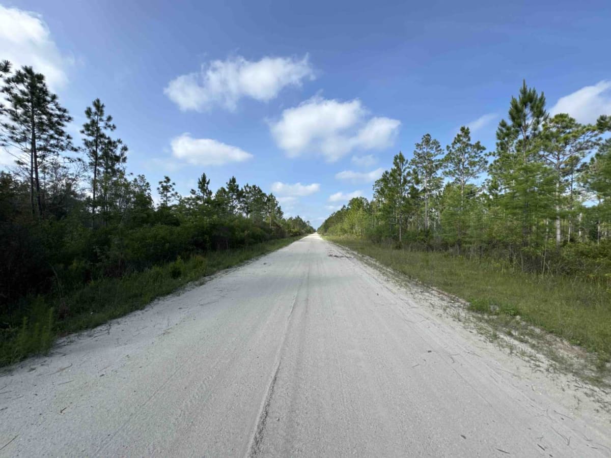 Burnt Bridge Road photo 4