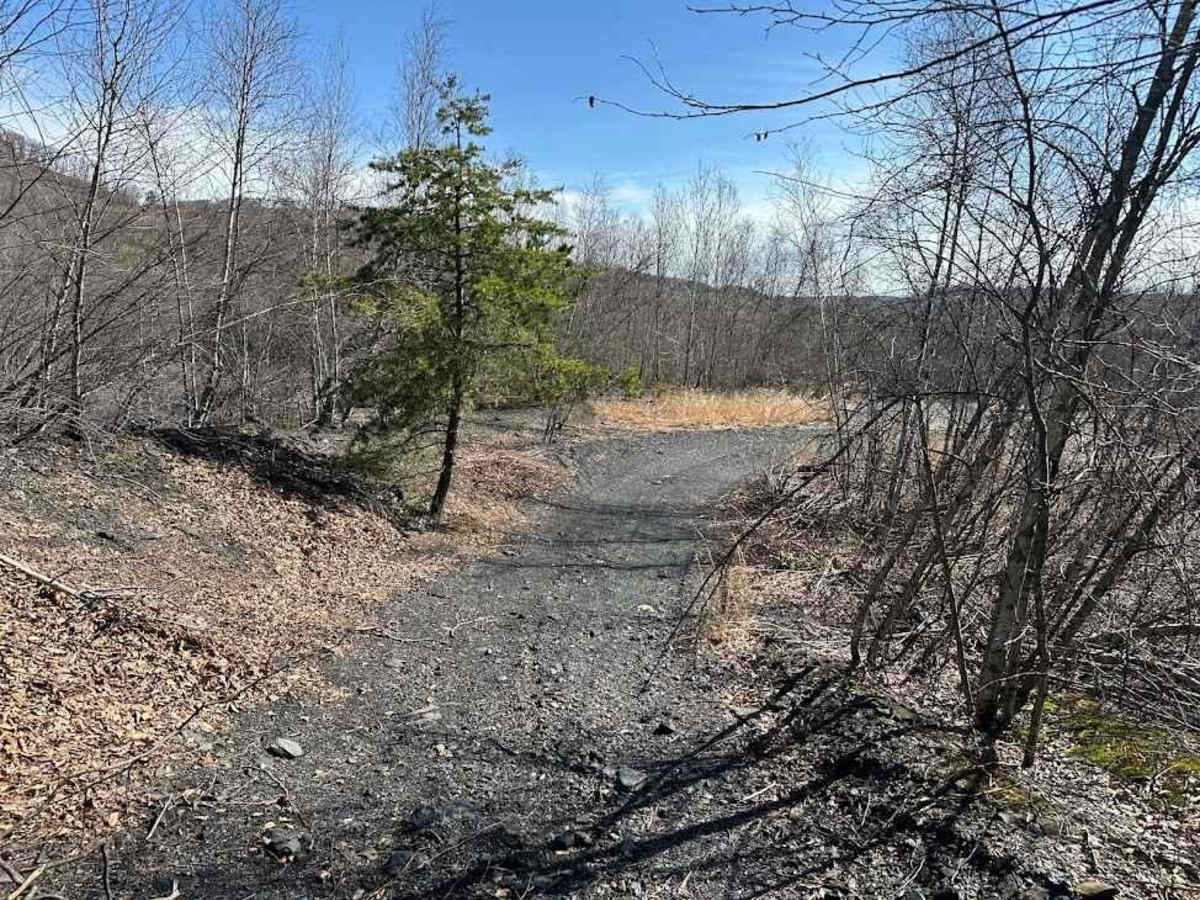 St. Keirns 81 trail photo