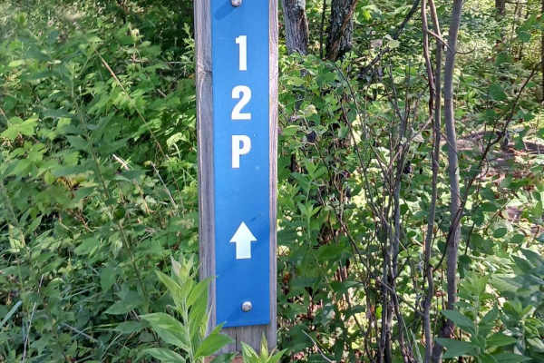 Trail 12P - Rock Run Recreation Area
