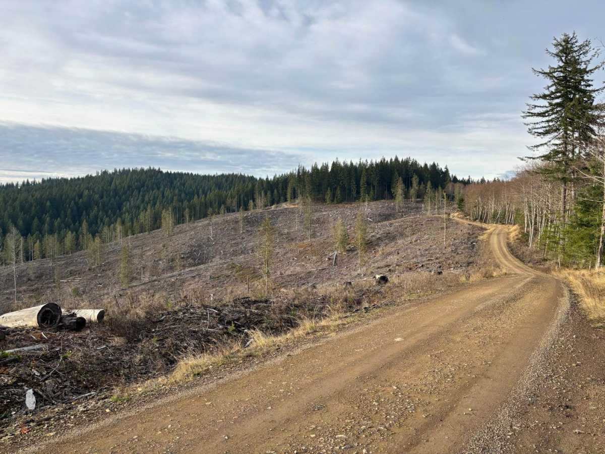NoFo Road photo 5