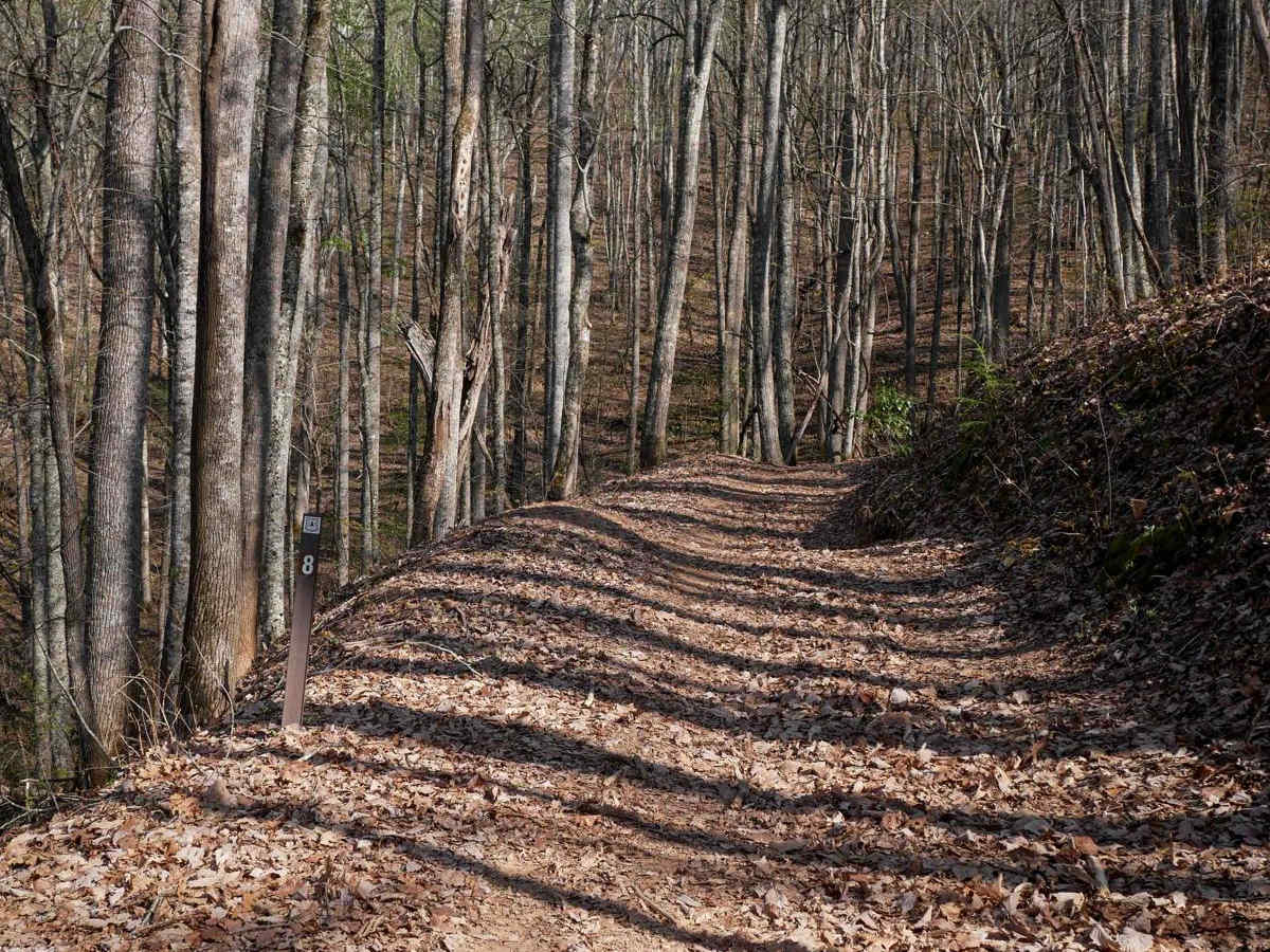Sawmill Bottoms Trail 8 photo 3