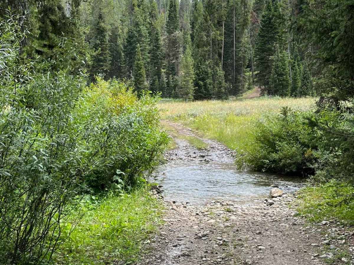 Lower Cabin Creek photo 3