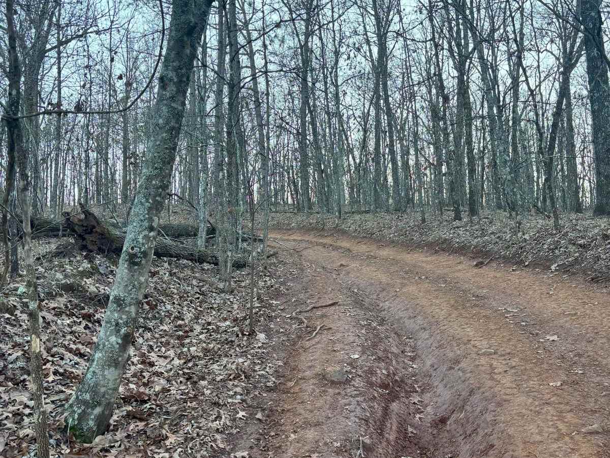 32 trail photo