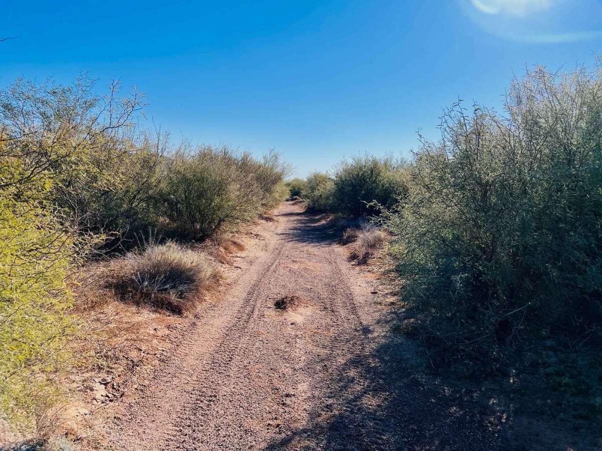 Corral to Corral Cutover photo 5