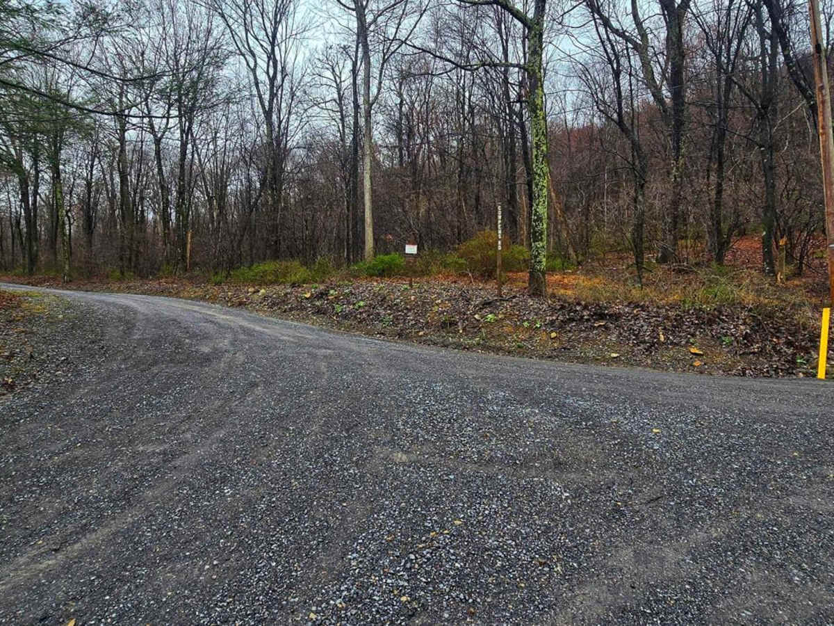 Cowpens Road photo 5