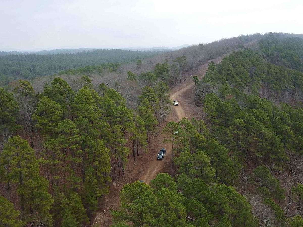 Holly Mountain Trail trail photo