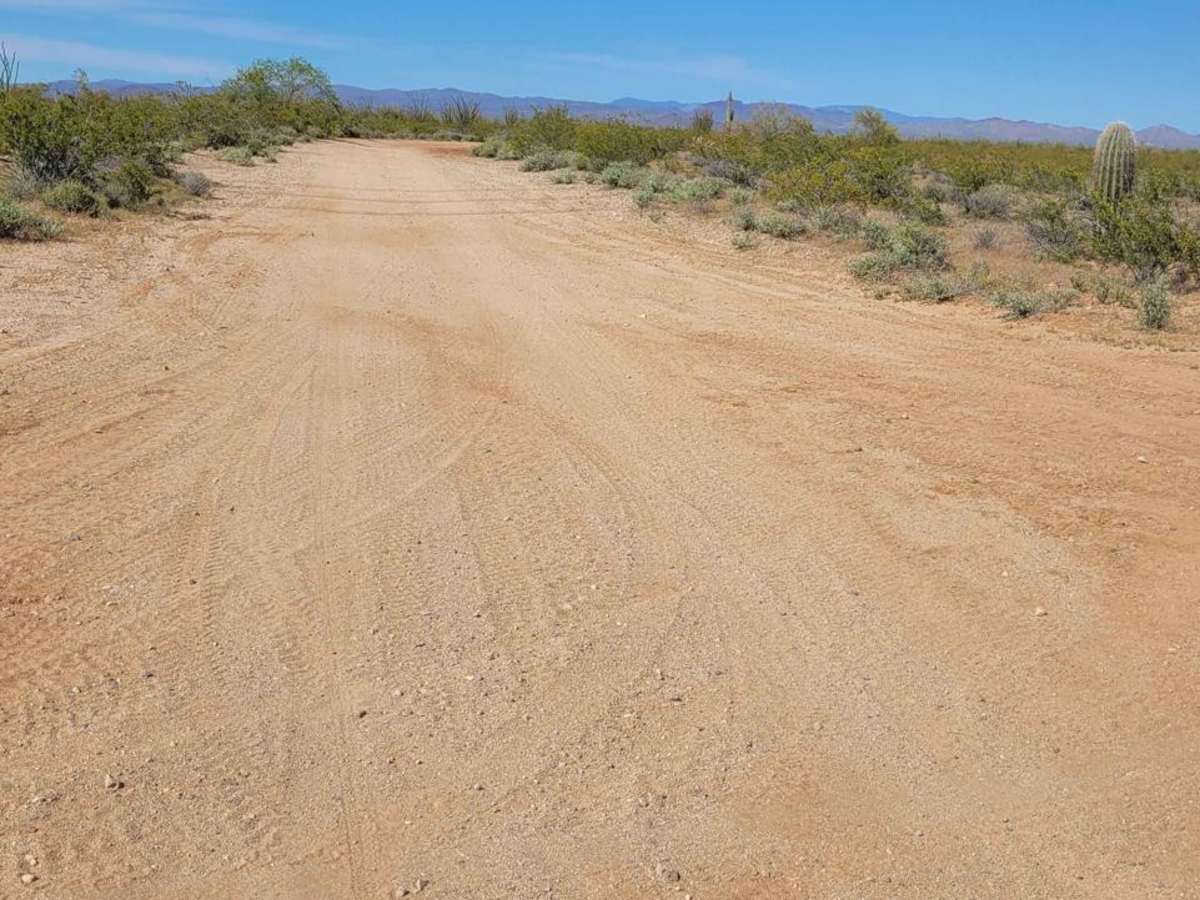 Douglas Ranch Road photo 5