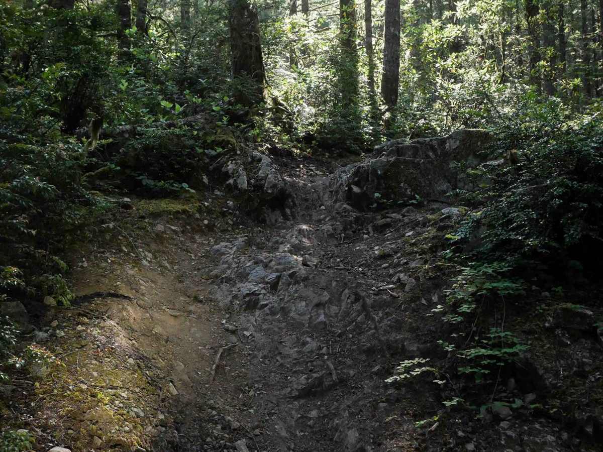 Gold Creek photo 4
