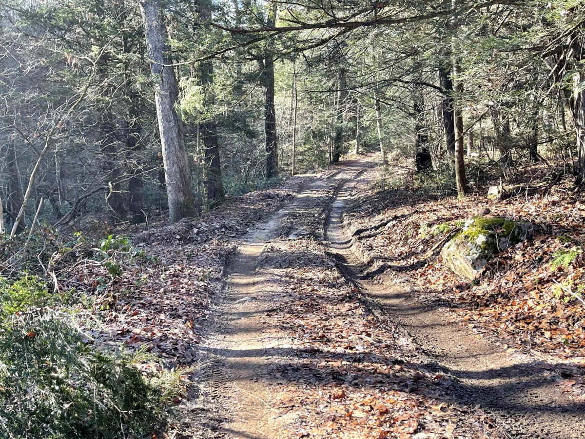 Bull Hollow Road photo 4