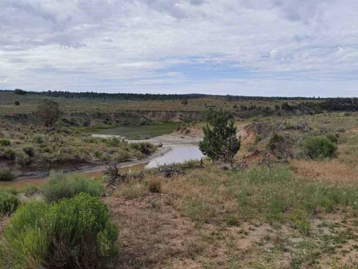 Glendale Bench Road (BLM1854) photo 4