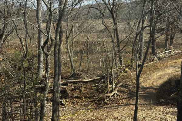 Loggers Trail