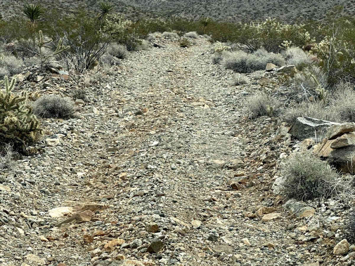 Golden Mile Trail photo 4
