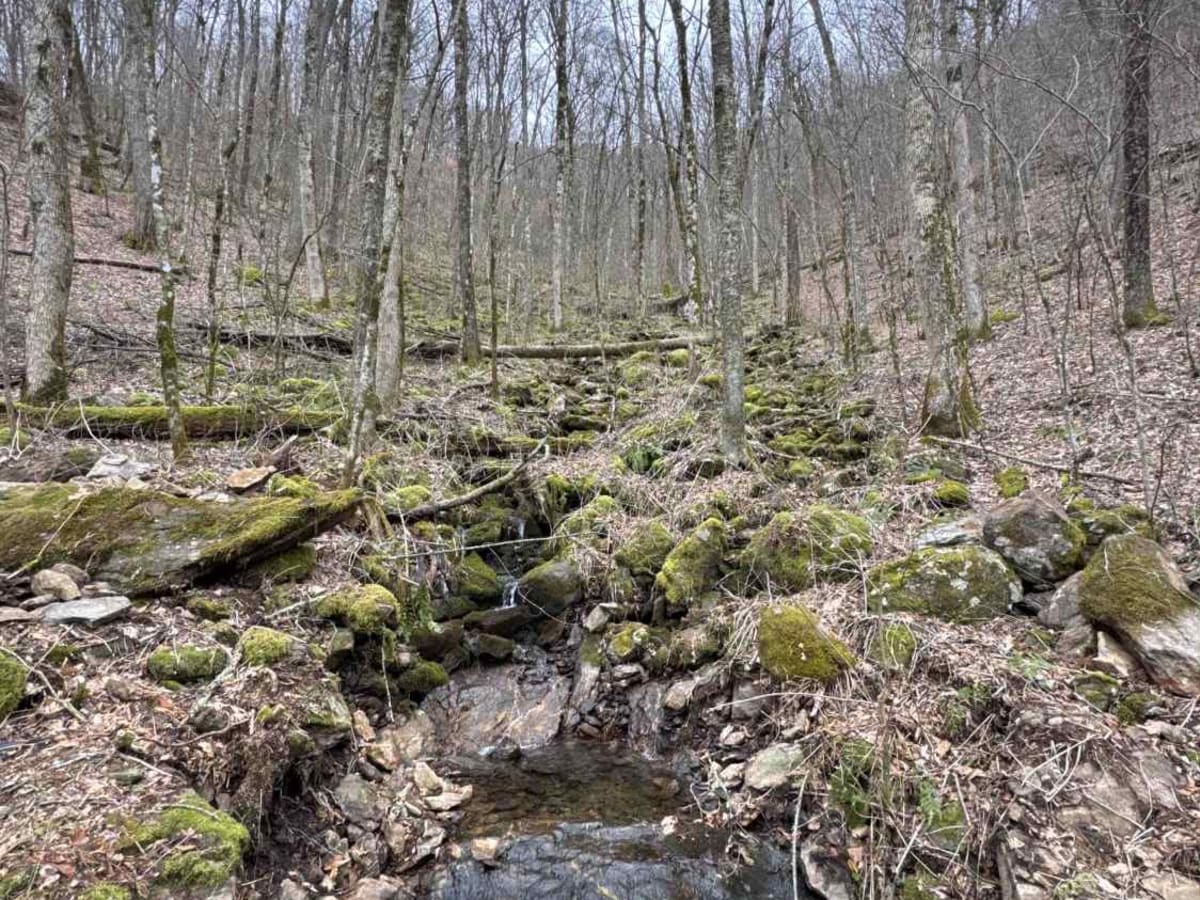 Deep Gap - FR 71 photo 2