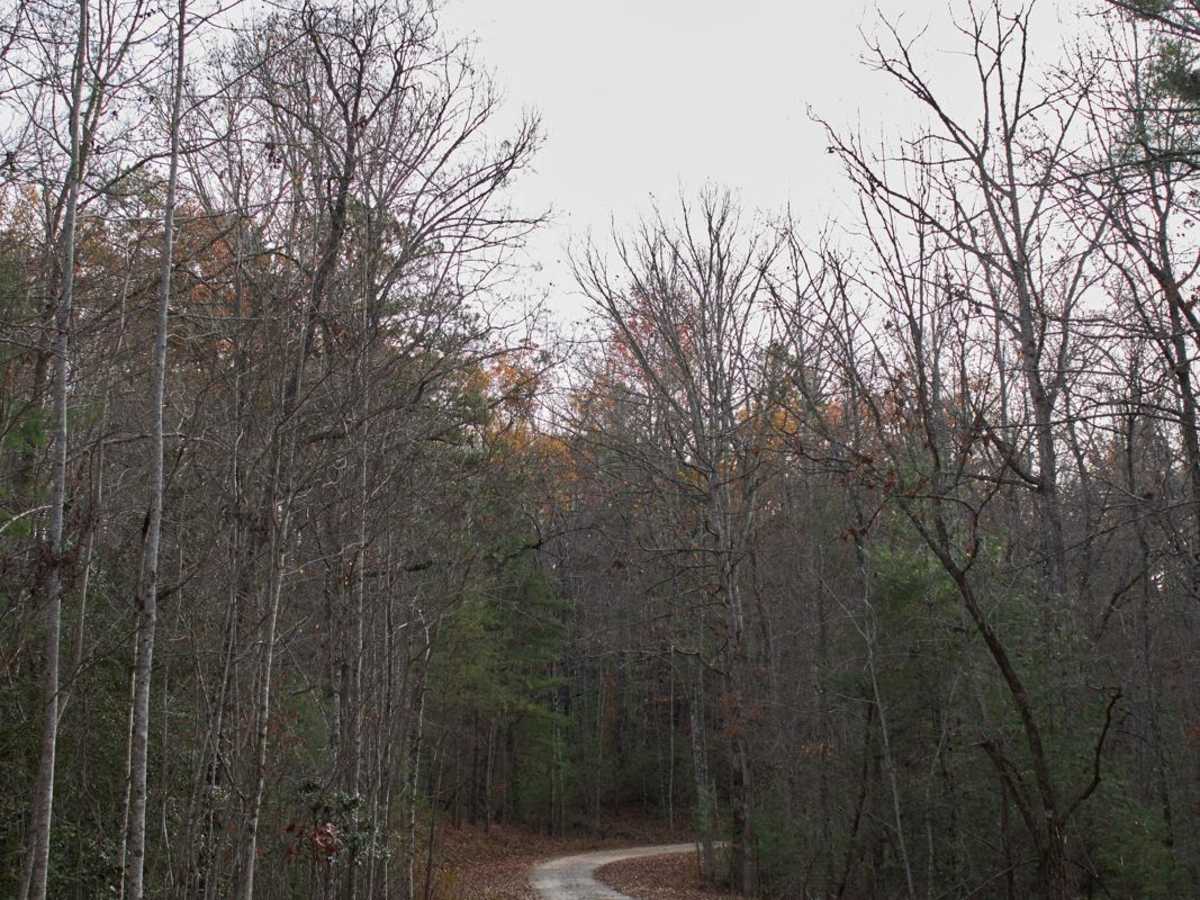 Fall Creek - FSR 722 photo 3