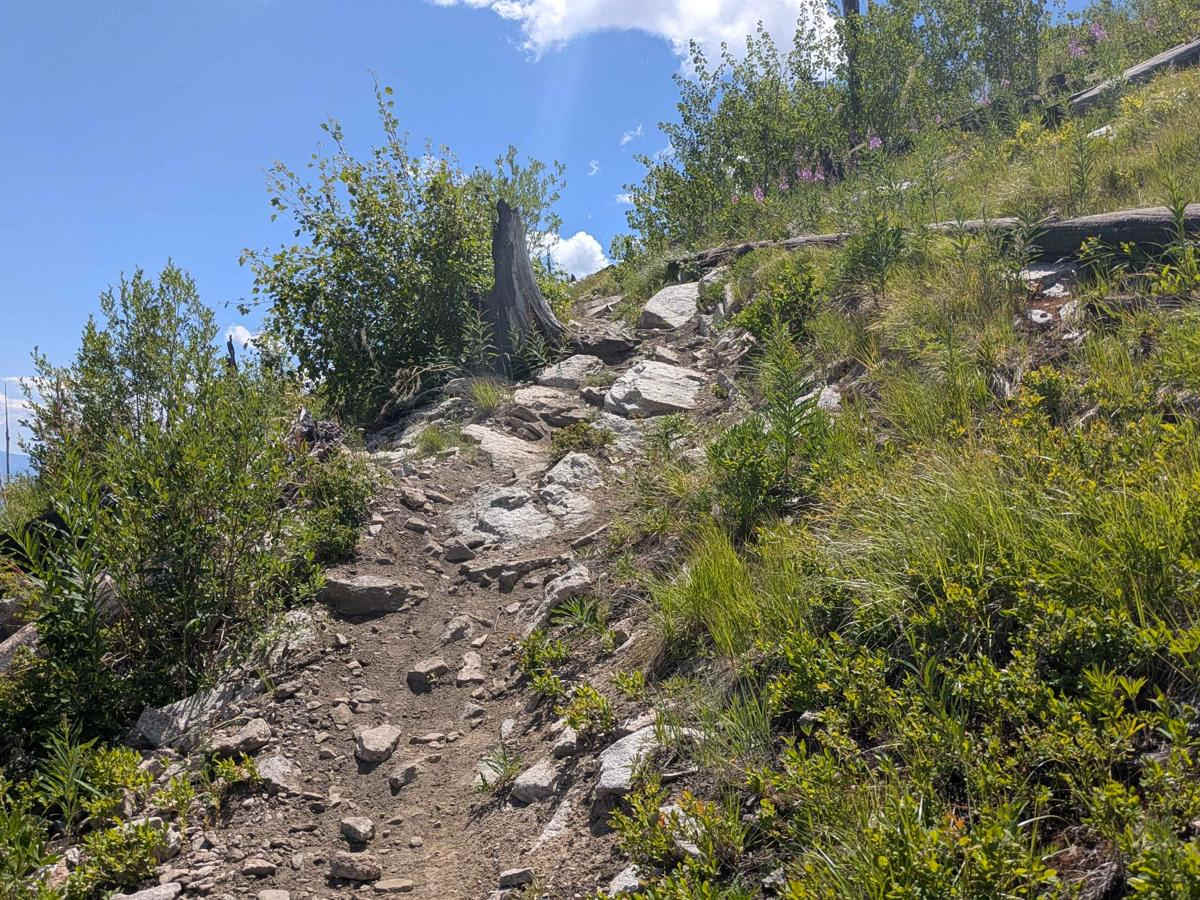 Ward Mountain photo 4