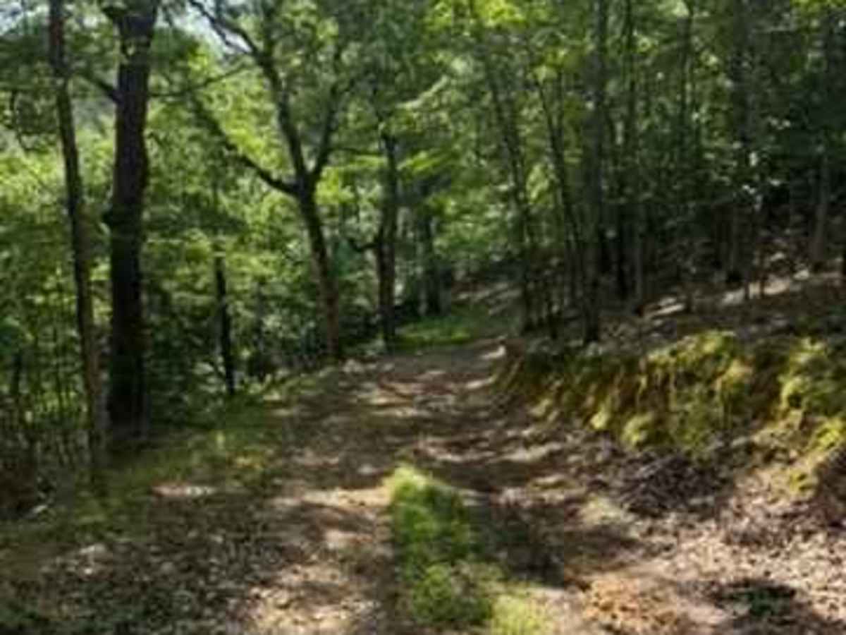 Jay's Trail photo 2