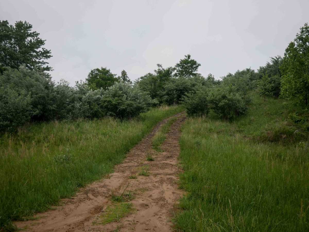 CC20 trail photo