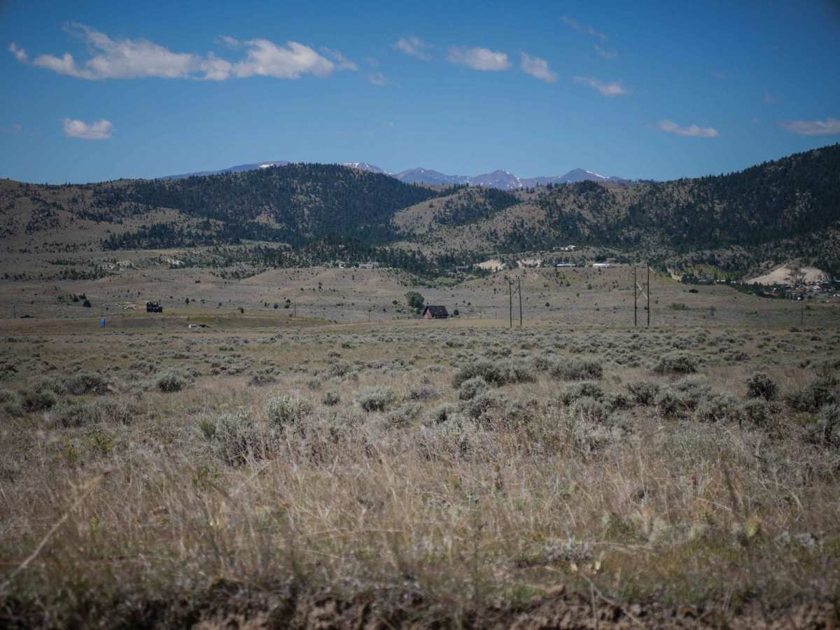 BLM 1 photo 5