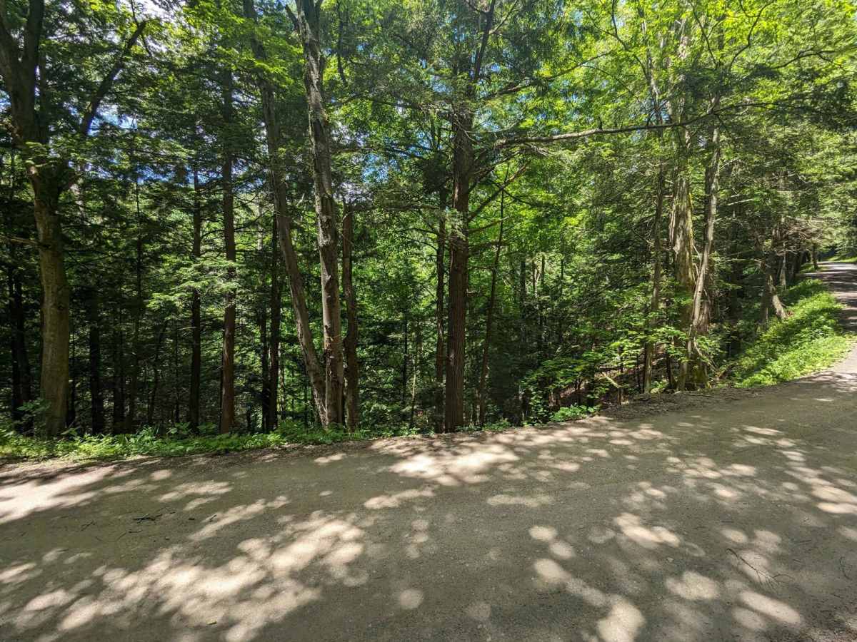 Rock Run Road photo 6