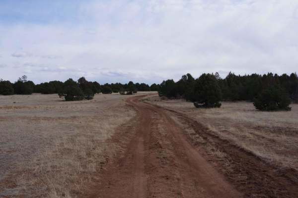 Arroyo de los Diegos