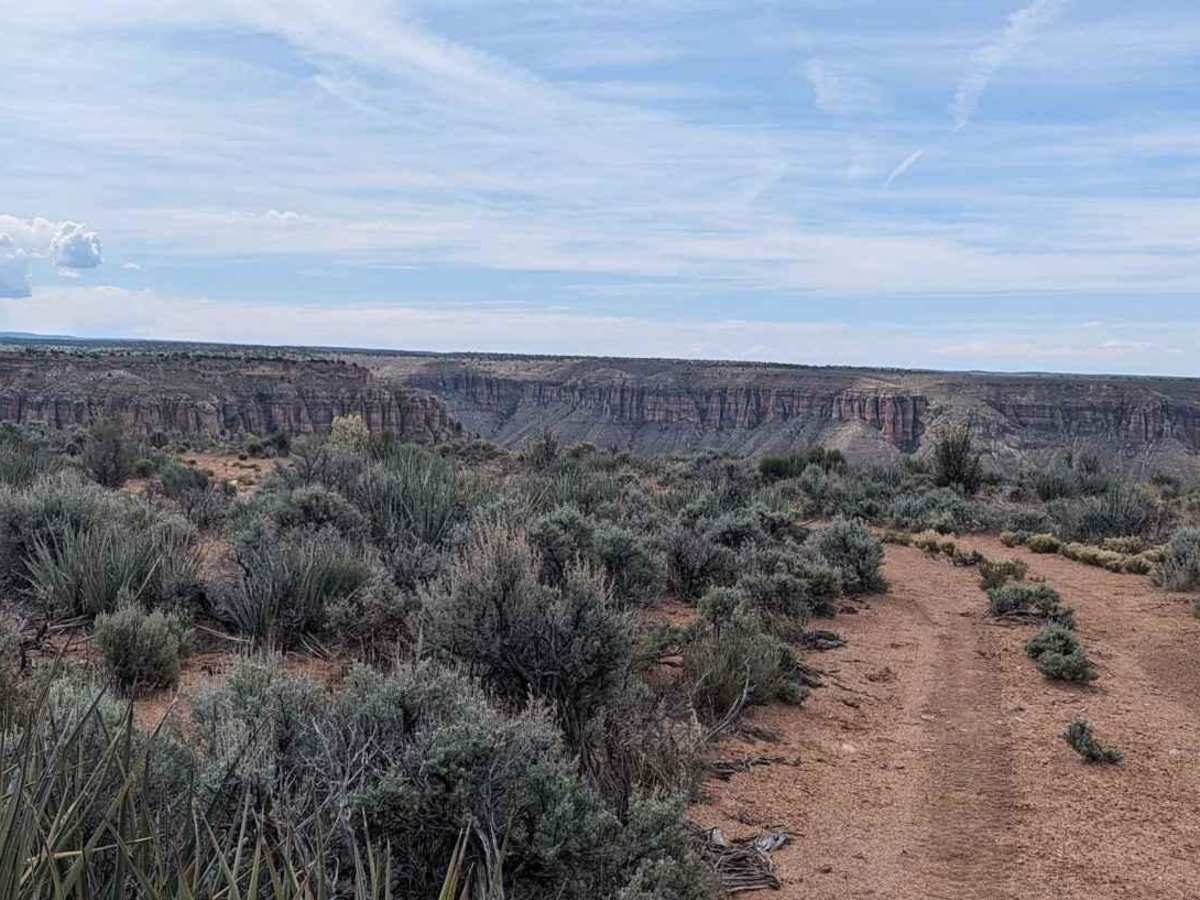 Snake Gulch Rim - BLM191 photo 3