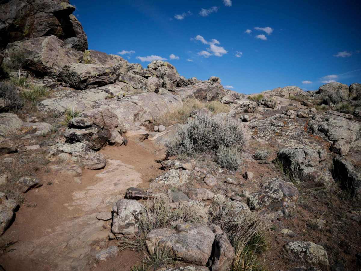 Sawtooth photo 2