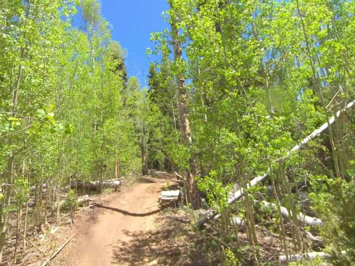 Boulder Swale ATV Trail-NFS34022 photo 5