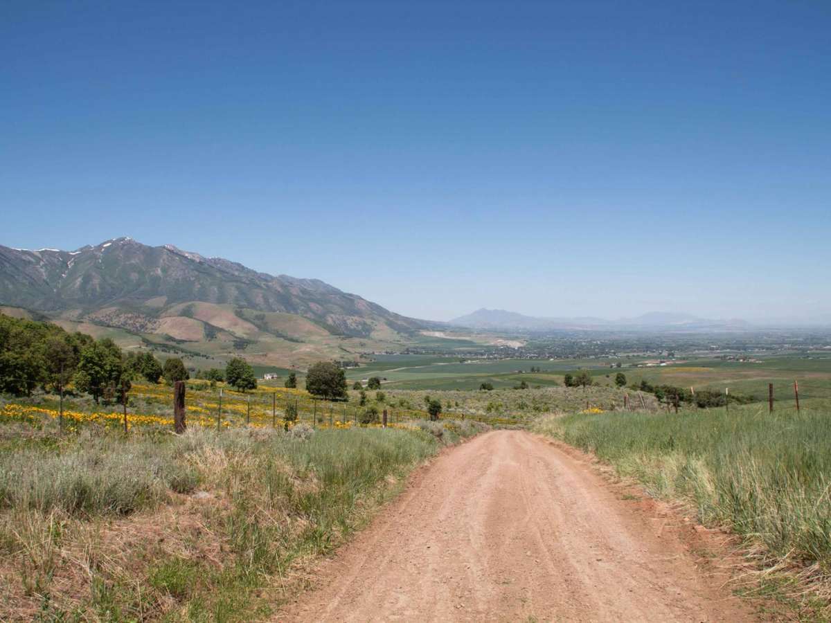 Old Canyon Road photo 2