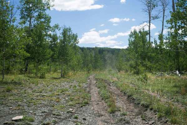 Box Canyon Spur