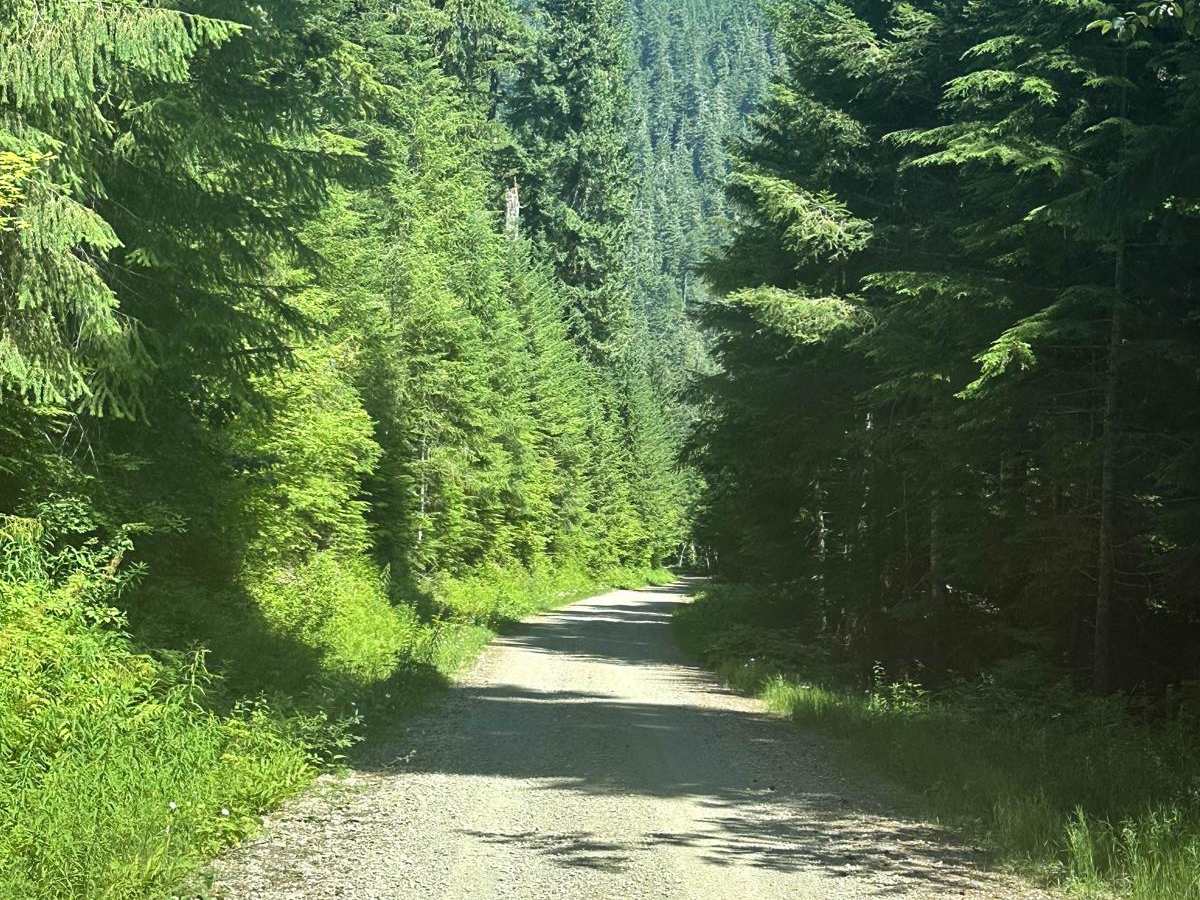 Willame Creek Trail photo 5