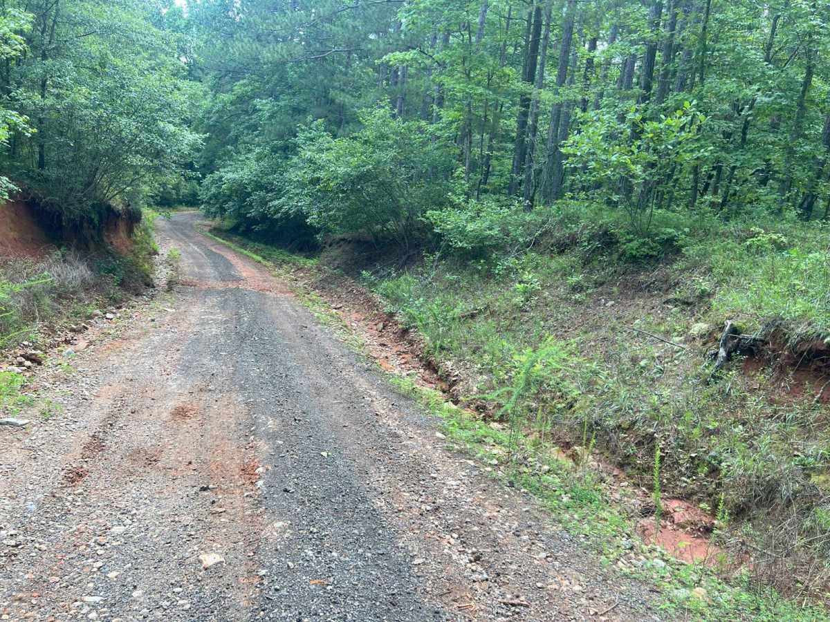 Edwards Road photo 6