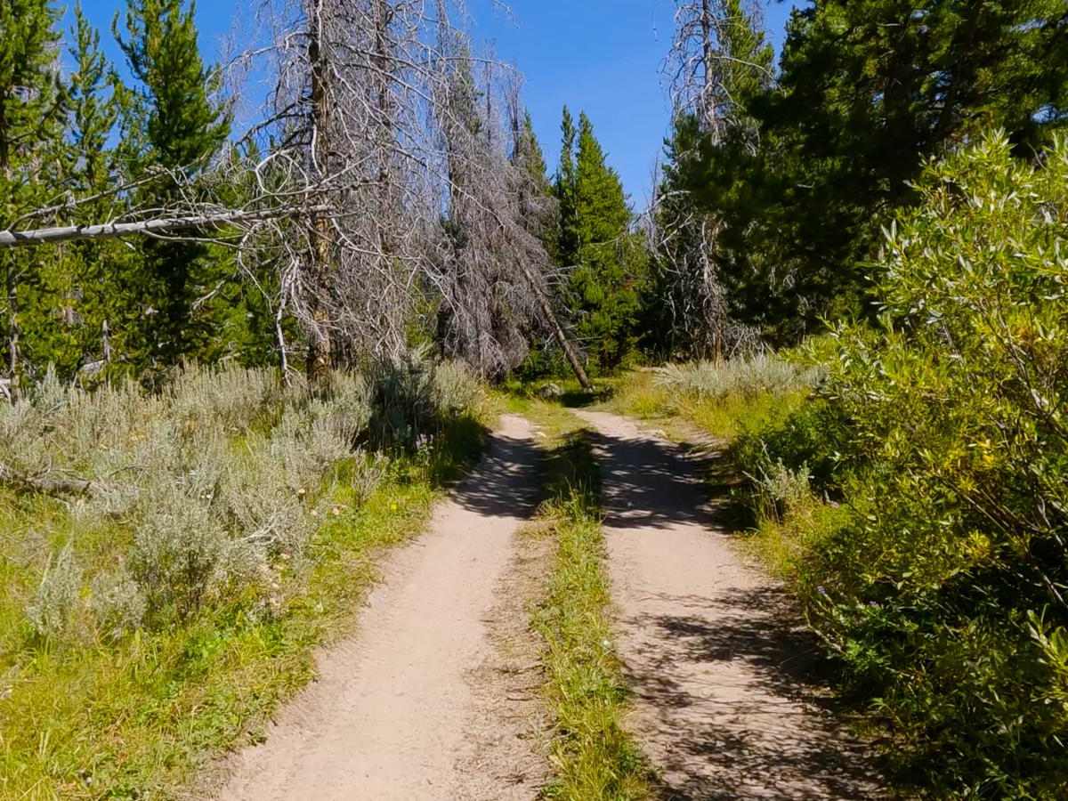 Grind up Pinon Pass photo 5