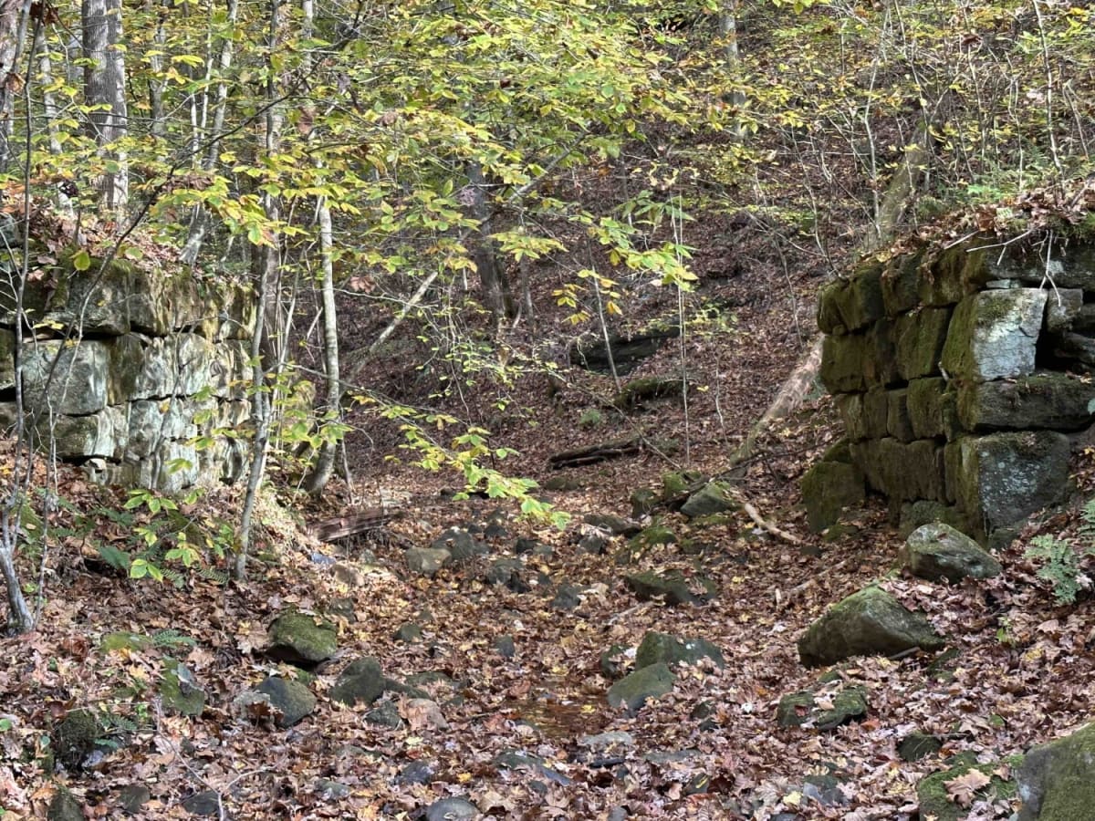 Stonebridge Trail photo 2