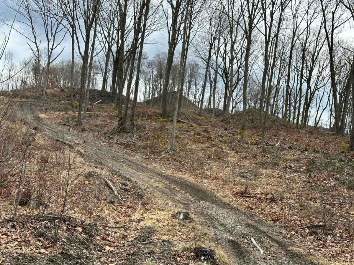 Ashland 67 photo 3