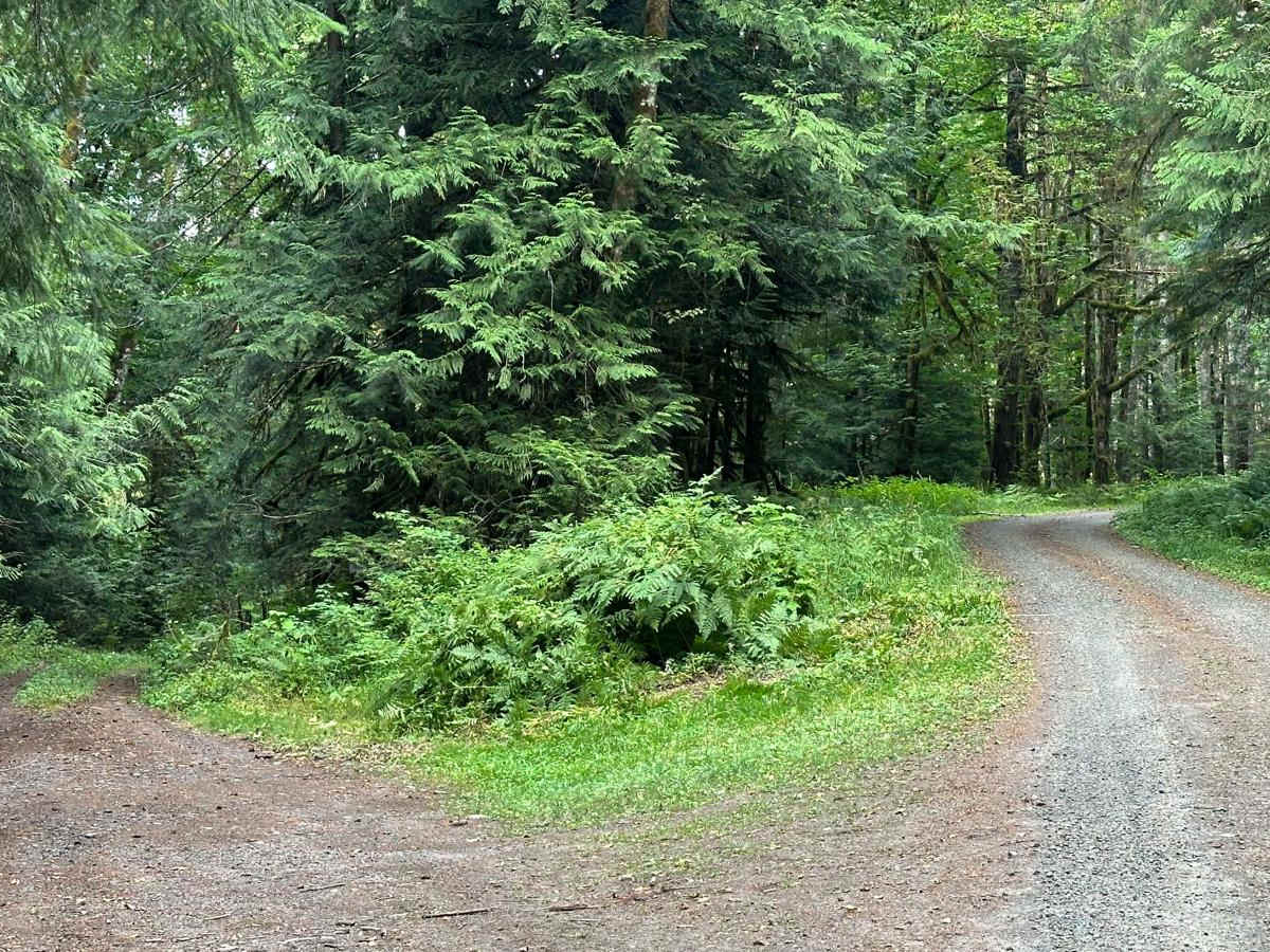 Kilborn Creek photo 2