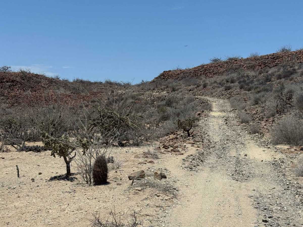 North Road Cutoff photo 6