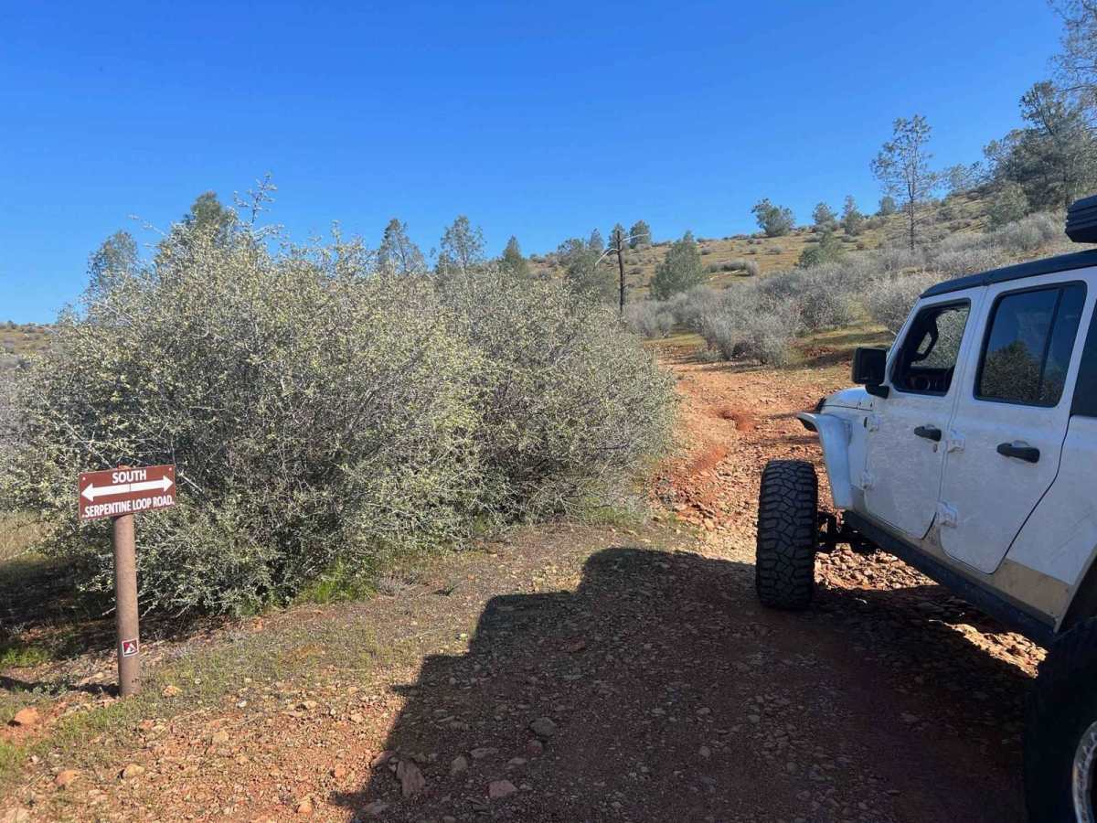 Red Hills Road/Serpentine loop trail photo