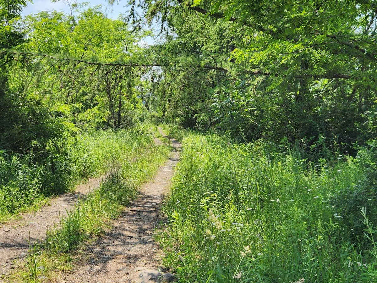 Trail 6G - Rock Run Recreation Area photo 3