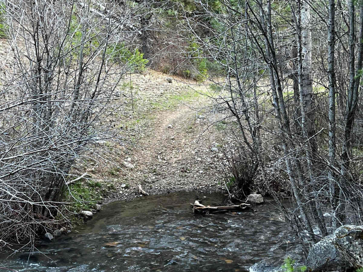 Lower McKay Creek Road to West Fork Mill Creek Road photo 6